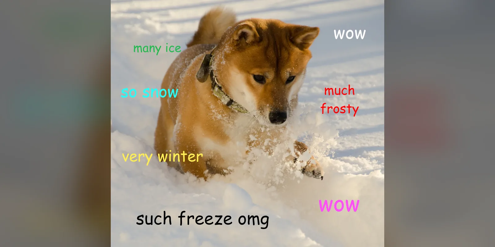 Doge meme: a Shiba Inu running through snow, surrounded by colorful captions like much frosty, so snow and such freeze omg